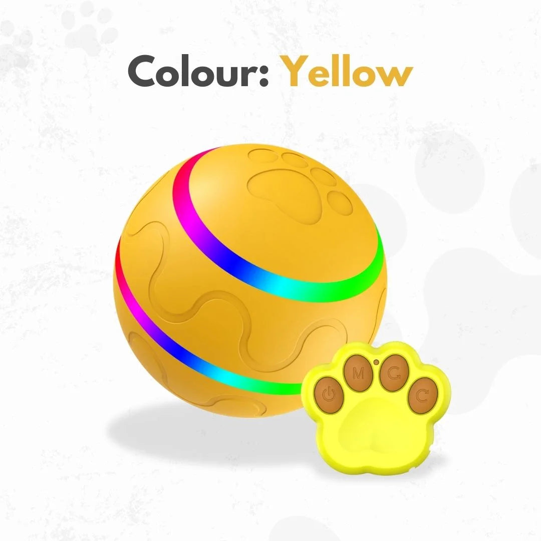 The Ball That Chases Back (Smart Toy)