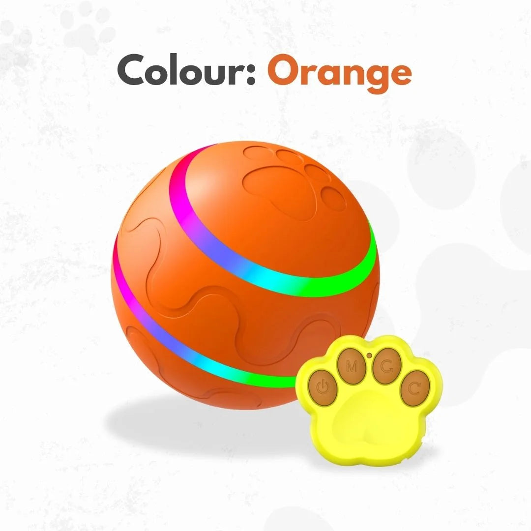 The Ball That Chases Back (Smart Toy)