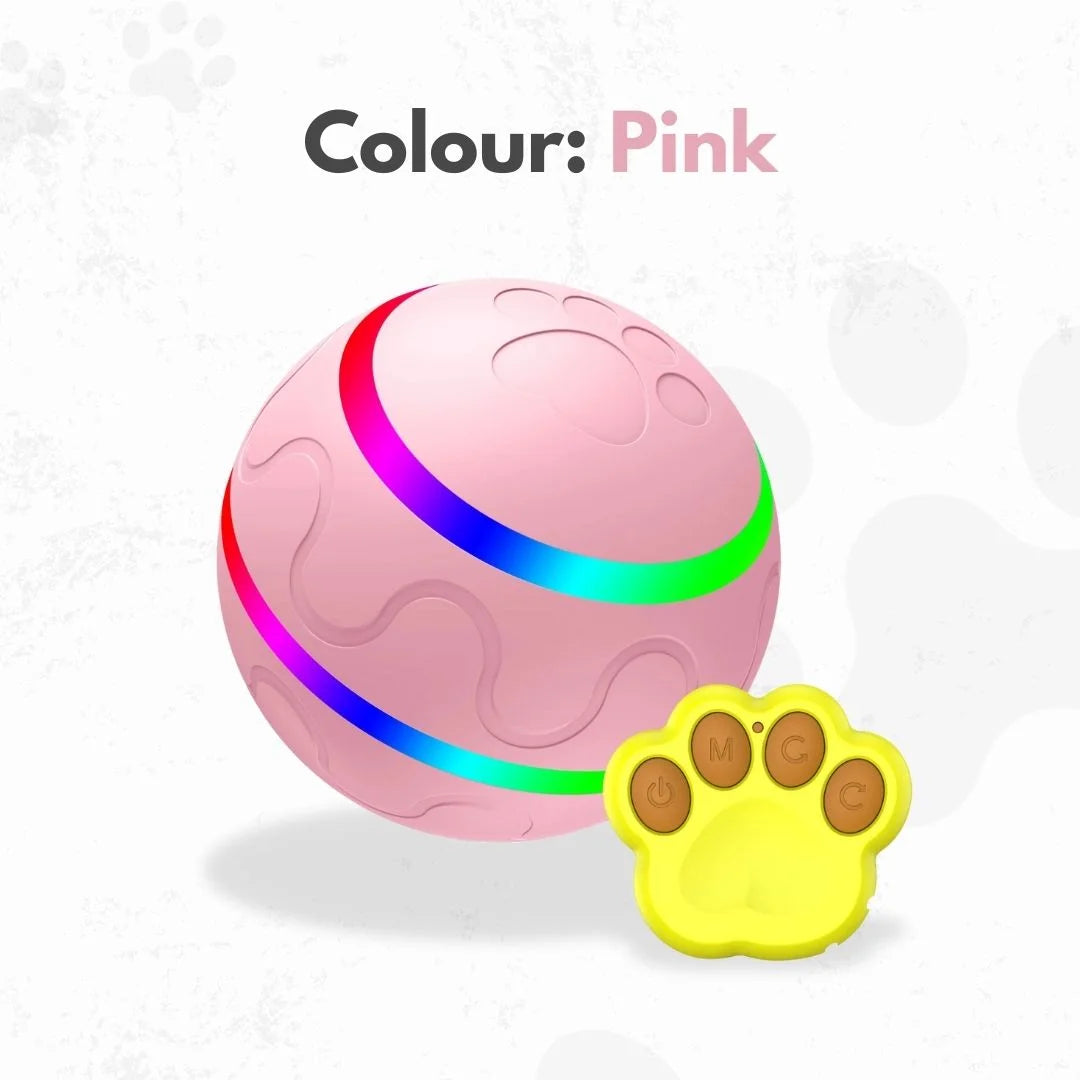 The Ball That Chases Back (Smart Toy)