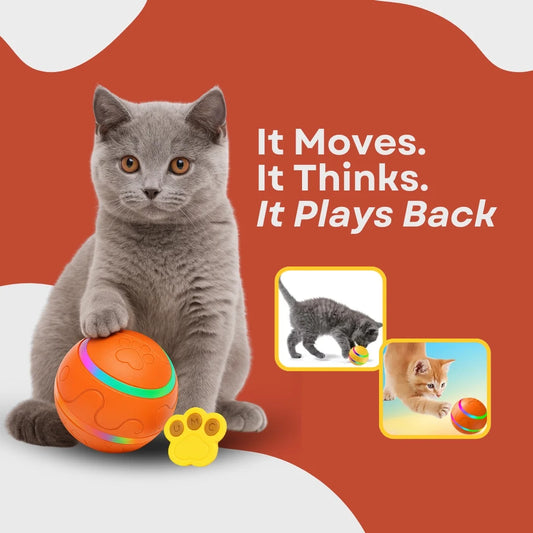 The Ball That Chases Back (Smart Toy)