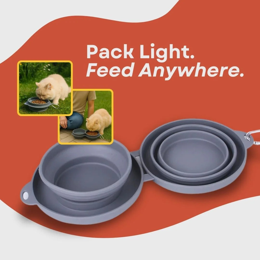 Foldable Double Bowl — Food + Water Anywhere
