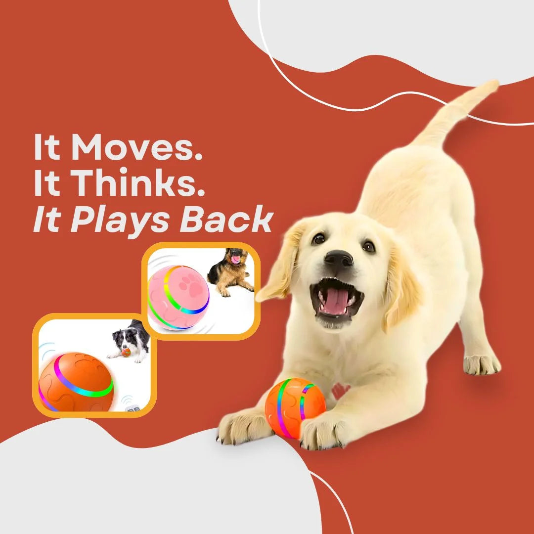 The Ball That Chases Back (Smart Toy)