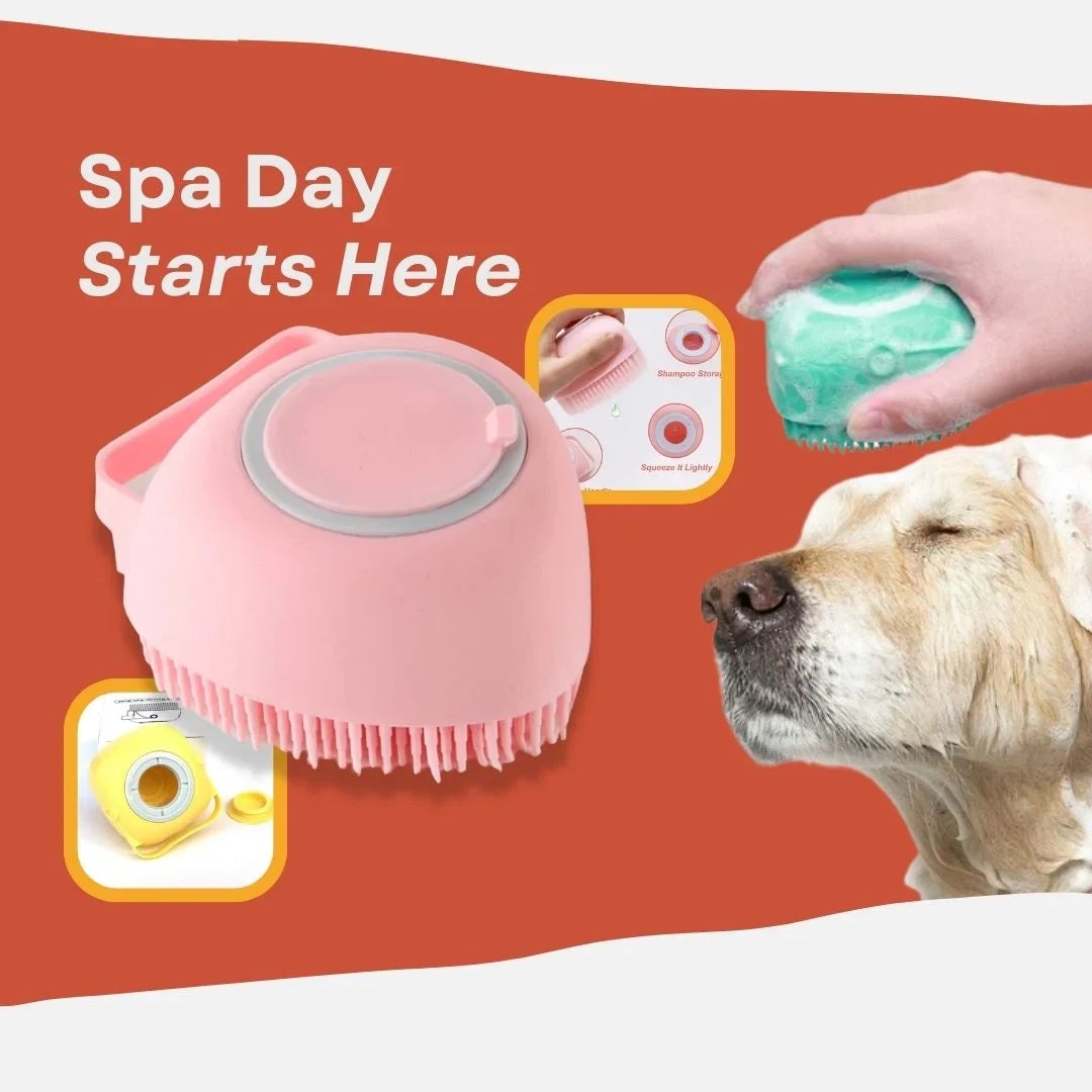 New Pet Starter Pack