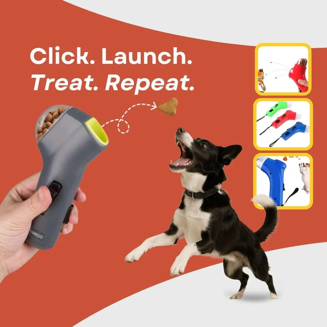 Pet Treat Launcher — Play, Train, Reward