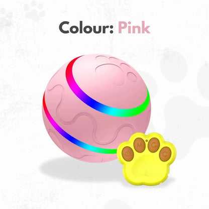 The Ball That Chases Back (Smart Toy)
