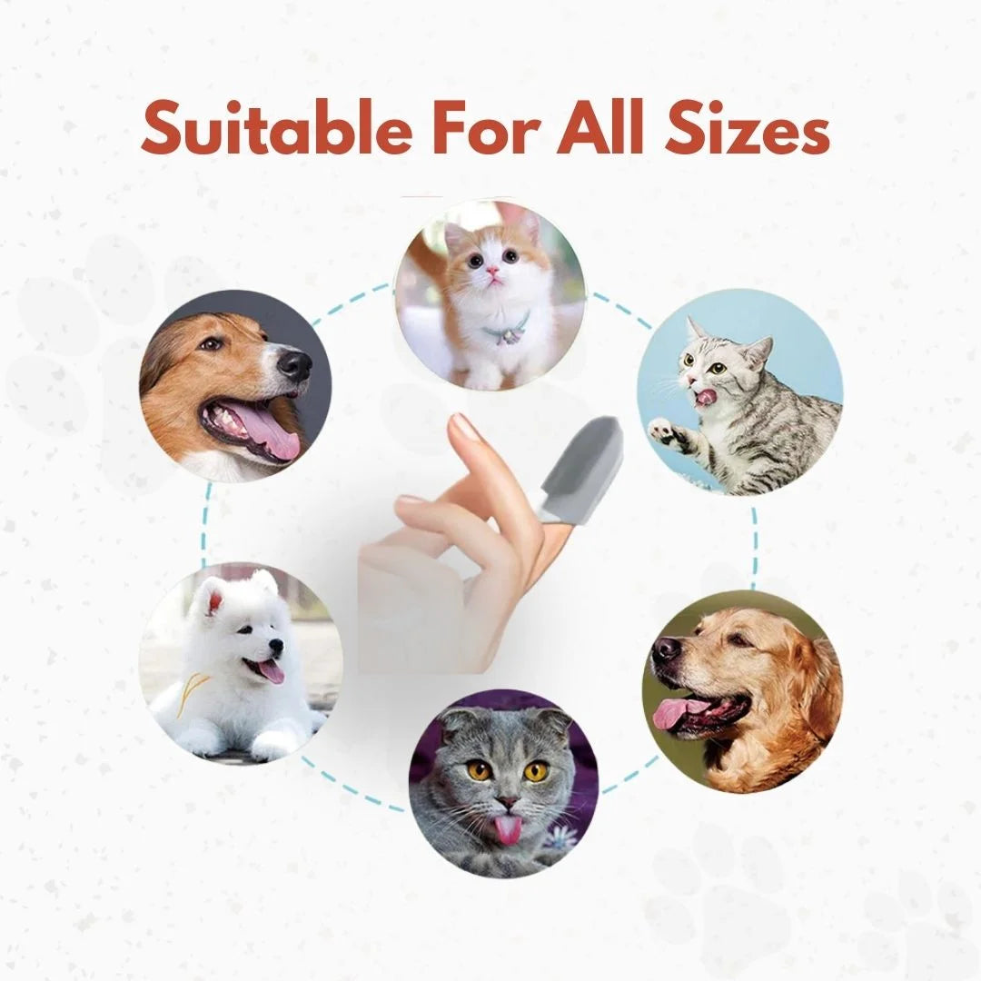 Finger Toothbrush for Dogs & Cats — Clean Teeth, No Fuss