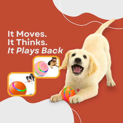 The Ball That Chases Back (Smart Toy)