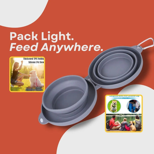 Foldable Double Bowl — Food + Water Anywhere